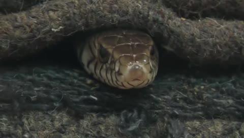 Post by Vinod Shrivastava