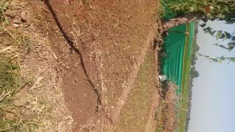 Post by Shivnarayan Maskole