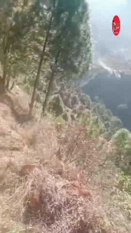 कुमारसैन में जमीनी विवाद पर भड़की एक महिला 
#kullutodaynews #himachalupdate #ATM #himachalkiawaaz #himachalpradesh #rampur #KTN #BreakingNews #shimla #kullu