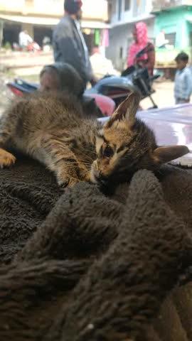 किसी की जान बचना सबसे बड़ा धर्म है