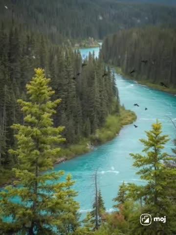 Post by டேவிட் அந்தோனி