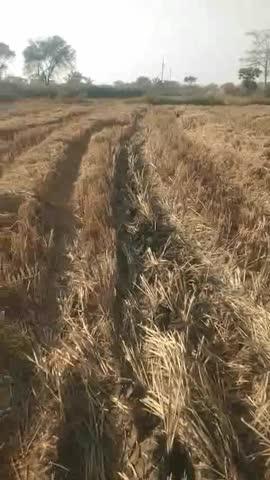 बिकाऊ जमीन है सम्पर्क 9238210014