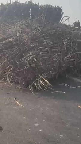 कोहरे में पीछे से ट्रक ने ट्रैक्टर-ट्रॉली को मारी टक्कर, 23 वर्षीय युवक की मौत
फर्रुखाबाद/राजेपुर।
कोहरे के चलते रविवार रात एक दर्दनाक सड़क हादसे में 23 वर्षीय युवक की जान चली गई। अमृतपुर थाना क्षेत्र के अमैयापुर निवासी नीरज कुमार पुत्र रामशरण ट्रैक्टर-ट्रॉली में गन्ना लादकर रूपापुर मिल (हरदोई) जा रहे थे। रात करीब 2:30 बजे जैसे ही वह डबरी तिराहा पार कर शाहजहांपुर की ओर मुड़े, पीछे से आ रहे ट्रक ने उनकी ट्रैक्टर-ट्रॉली में जोरदार टक्कर मार दी।
हादसे में गन्ने से भरी ट्रॉली पलट गई, जिससे नीरज गंभीर रूप से घायल हो गए। मौके पर मौजूद लोगों की मदद से उन्हें निजी वाहन से लोहिया अस्पताल ले जाया गया, जहां इलाज के दौरान उनकी मौत हो गई।
पुलिस के अनुसार ट्रक संख्या RJ05GB 6766 के चालक मोहम्मद खान पुत्र नियामद खान निवासी मोहल्ला नया बांस, थाना बैर, जिला भरतपुर (राजस्थान) को हिरासत में ले लिया गया है और ट्रक को थाने पर खड़ा कराया गया है। तहरीर मिलने पर मामले में आवश्यक वैधानिक कार्रवाई की जाएगी।
प्रभारी निरीक्षक सुदेश कुमार विश्वकर्मा ने बताया कि घटना के बाद क्षेत्र में कानून-व्यवस्था सामान्य है। वाहनों का आवागमन सुचारू रूप से चल रहा है। मृतक का पंचायतनामा भरकर पोस्टमार्टम की कार्रवाई कराई जा रही है।
हादसे के बाद परिजनों में कोहराम मचा हुआ है।