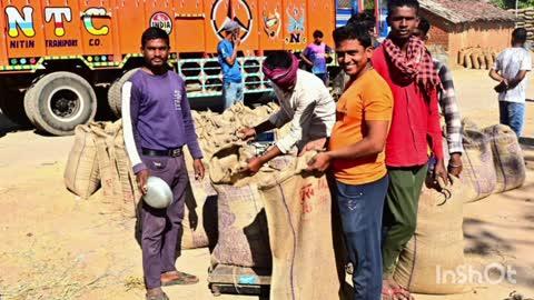 सैदा धान खरीदी केंद्र मे सुगम और पारदर्शी धान खरीदी व्यवस्था से किसानों को मिला बड़ा लाभ 
आज रविवार की साम 5 बजे पी आर ओ द्वारा जारी किये गए प्रेस    विज्ञप्ति से मिली जानकारी अनुसार
बिलासपुर, 14 दिसम्बर 2025/जिले में इस वर्ष धान खरीदी व्यवस्था पूरी तरह सुचारू, पारदर्शी और किसान-हितैषी साबित हो रही है। टोकन तुंहर हाथ ऐप के माध्यम से किसानों को घर बैठे ही आसानी से टोकन प्राप्त हो रहे हैं, जिससे खरीदी केंद्रों में अनावश्यक भीड़, भागदौड़ और प्रतीक्षा जैसी समस्याएँ लगभग समाप्त हो गई हैं। साथ ही बारदाना उपलब्धता, तौल, भंडारण और भुगतान की सभी प्रक्रियाएँ इस बार पहले से अधिक सुव्यवस्थित और समयबद्ध की गई हैं।
सैदा धान खरीदी केंद्र पहुँचे चिचिरदा के किसान रामसाय साहू ने बताया कि वे 1 एकड़ भूमि में खेती करते हैं और इस वर्ष उनकी पैदावार अच्छी रही। उन्होंने मोबाइल से ही टोकन कटवाया और 19 क्विंटल 60 किलो धान लेकर केंद्र पहुँचे। उन्होंने कहा कि तौल प्रक्रिया पूरी तरह आसान रही और धान बिकते ही वे चिंतामुक्त हो गए। वहीं मेण्ड्रा निवासी किसान विष्णुप्रसाद वर्मा 50 क्विंटल धान लेकर केंद्र पहुँचे। उन्होंने बताया कि खरीदी केंद्र में किसानों के लिए सभी सुविधाएँ आसानी से उपलब्ध हैं। उन्हें मिल रहा समर्थन मूल्य 3100 रुपये प्रति क्विंटल उनकी आमदनी में बढ़ोतरी कर रहा है। श्री वर्मा कहते हैं कि सरकार की पारदर्शी और व्यवस्थित खरीदी व्यवस्था ने उनके सपनों को साकार करने में मदद की है।
रचना