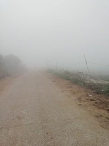 15/12/2025 आज विजयपुर तहसील के ग्राम इकलोद में काफी घना कोहरा पड़ रहा है बहुत भयंकर ठंड के साथ Aap video me Dekh skate hai🧑‍🚀🥷