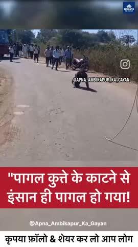 कुत्ता काटने से इंसान हुआ पागल