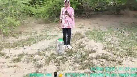 🙏🏻 जय श्री कृष्णा मेरे ☎️ मोबाइल नंबर हे  👉🏻 7073274011 व 73 57 57 07 07 🗓️  आज ( 14 ) दिसंबर 2025 को  👉🏻 पाली के सुकरलाई गांव में शेषाराम जी चौहान साहब के घर में 🐍  सांप आ गया  📞  सूचना मिलने पर में 🚨 तुरंत मौके पर पहुंची और 🐍 सांप को रेस्क्यू किया ☺️ ये सांप ( कोबरा प्रजाति का  है , मादा ) इसकी उम्र लगभग  ( 3  साल हे ) 💃🏻 दिव्या जैन मेरा नाम हे और पाली जिले की पहली ओर  एकमात्र 💃🏻 महिला हु जो सांप पकड़ने का काम करती हु 🗓️  2020 से में ये काम कर रही हु तब से मेरा ये 👉🏻  ( 1,500 नंबर )  🐍 सांप हे , 5 सालों में मैने ( 1,500)  🐍 सांप पकड़ लिए हे इस सांप को पाली के दूर जंगल में छोड़ रही हु 🐍  सांप पकड़ने वाले महावीर जैन टीम पाली 🙂