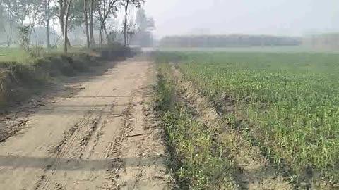 80 बीघा जमीन बिकाऊ प्रति बीघा एक लाख रुपये डिमांड मांग है जिस भाई को लेना मुझसे संपर्क करें8090291079