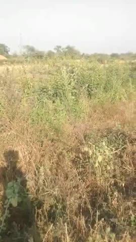 जमीन बिकाऊ है सम्पर्क 9238210014