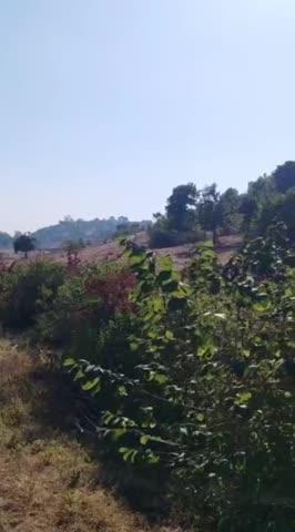 Post by Pranjal Yagyawalkya