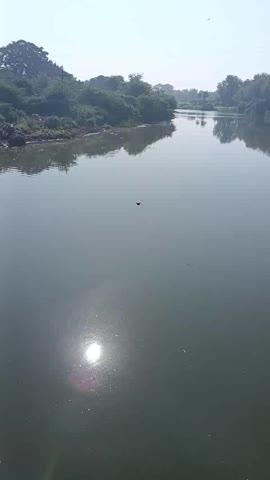 पिंप्री येथे अंजनी नदीपात्रात अंदाजे 40 वर्षे वयाच्या अनोळखी व्यक्तीचा मृतदेह आढळून आल्याने खळबळ
धरणगाव तालुक्यातील पिंप्री गावाजवळ अंजनी नदीपात्रात अंदाजे 40 वर्षे वयाच्या एका अनोळखी व्यक्तीचा मृतदेह तरंगताना आढळून आला. आज सकाळच्या सुमारास ही घटना उघडकीस येताच परिसरात एकच खळबळ उडाली असून घटनास्थळी पाहण्यासाठी स्थानिक नागरिकांची मोठी गर्दी जमली होती.
मृतदेह काही काळापासून पाण्यात असल्याचा संशय व्यक्त करण्यात येत आहे. घटनेची माहिती मिळताच धरणगाव पोलीस ठाण्याचे अधिकारी व कर्मचारी घटनास्थळी दाखल झाले. मृतदेह नदीपात्रातून बाहेर काढून पंचनामा करण्यात आला आहे.
मृत व्यक्तीची ओळख पटवण्याचे काम सुरू असून मृत्यूचे नेमके कारण शवविच्छेदन अहवालानंतर स्पष्ट होणार आहे. या प्रकरणी पोलिसांकडून पुढील तपास सुरू आहे.