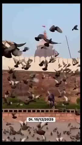 ଜୟ ଜଗନ୍ନାଥ 🙏🙏🙏🙏