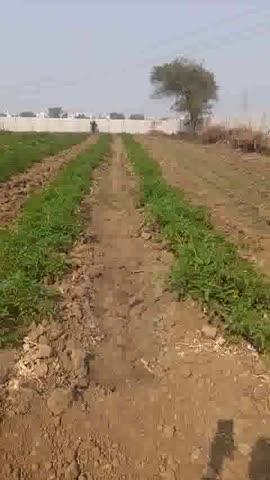 Post by Beer Bahadur Maurya