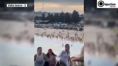 फल बेचने वाला शख्स्नत टेररिस्ट को धोना कई लोगों की बचाई जान शख्स को लगा दो गोली फिर भी हिम्मत नहीं हरा।