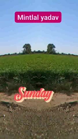 mintlal yadav mataki road dhuliya