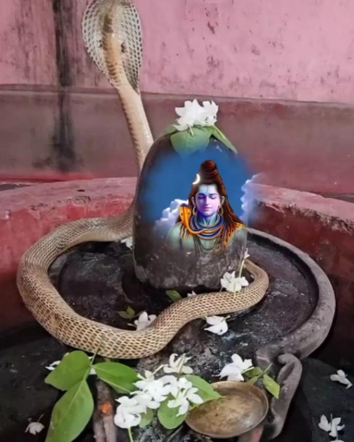 Follow👉shiv_bhakt__001

हर हर महादेव 🙏✨✨

follow for daily live Darshan 🙏

दुनिया_में_कुछ_मिले_ये_ना__मिले 
तेरे_ दरबार _में_ सब_ कुछ__ मिलता__ हैं _महादेव🙏🙏🙏🙏
Love you bholenath 😍😍😍
Follow me

Please turn on post and reels notification 🔔