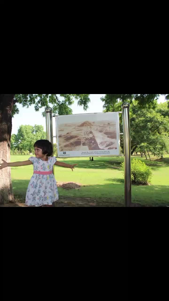 #world heritage #remains of Nalanda University