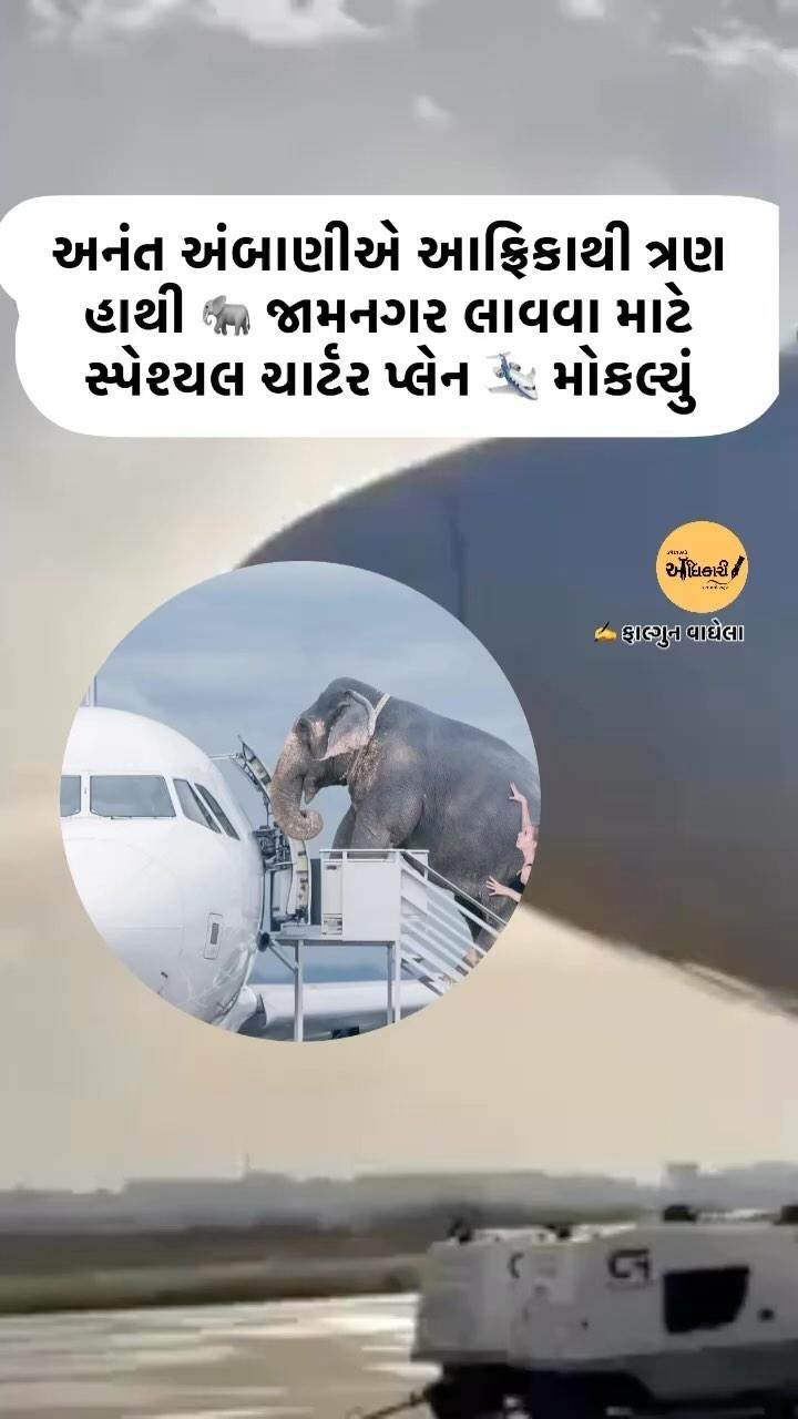 🐘 અનંત અંબાણીની વનતારા એ આફ્રિકાના દેશ ટ્યુનિશીયામાંથી 3 હાથીઓને જામનગર લાવવા માટે ખાસ ચાર્ટર પ્લેન મોકલ્યું

🗞 ડેઈલી અપડેટ માટે ફોલો 👉 fvsircurrent