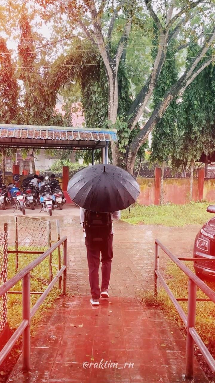 দেৱদাৰুৰ বৰষুণজাক 🌧️