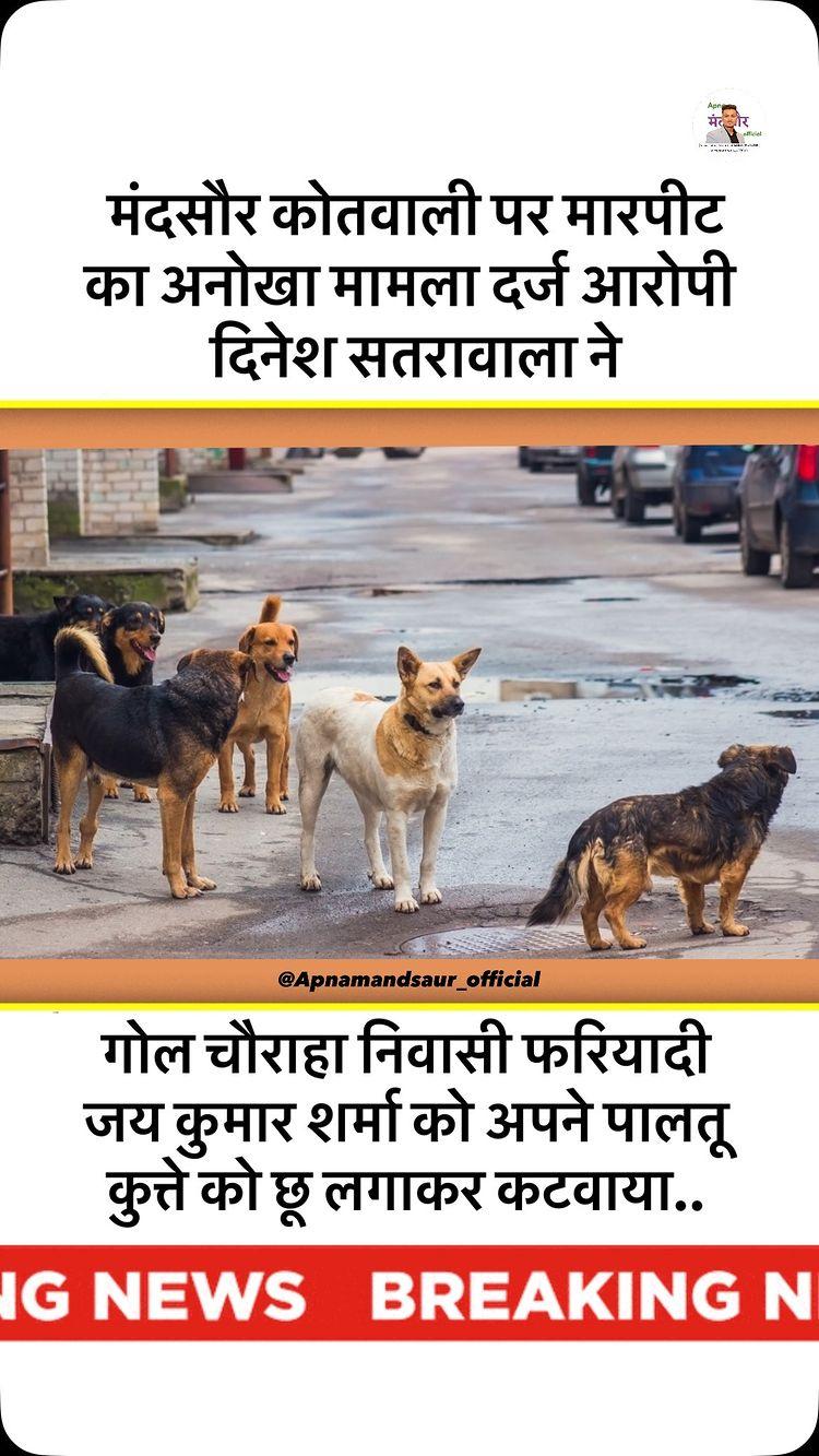 मंदसौर शहर की हर खबर सबसे पहले 🗞️📰

•
• 
•
To be featured :
Follow us apnamandsaur_official
Use our hashtag
#apnamandsaur_official -------------------------------------------------------------------
Connecting and inspiring photographers our city
Join our community for dalily inspiration!
Shoutout apnamandsaur_official -------------------------------------------------------------------
Send me your click 
Whatsapp : 8989002558 -------------------------------------------------------------------
Team : Apnamandsaur Official

Admin :- kunal_bhawsar_ 99

Instagram : apnamandsaur_official
Facebook :