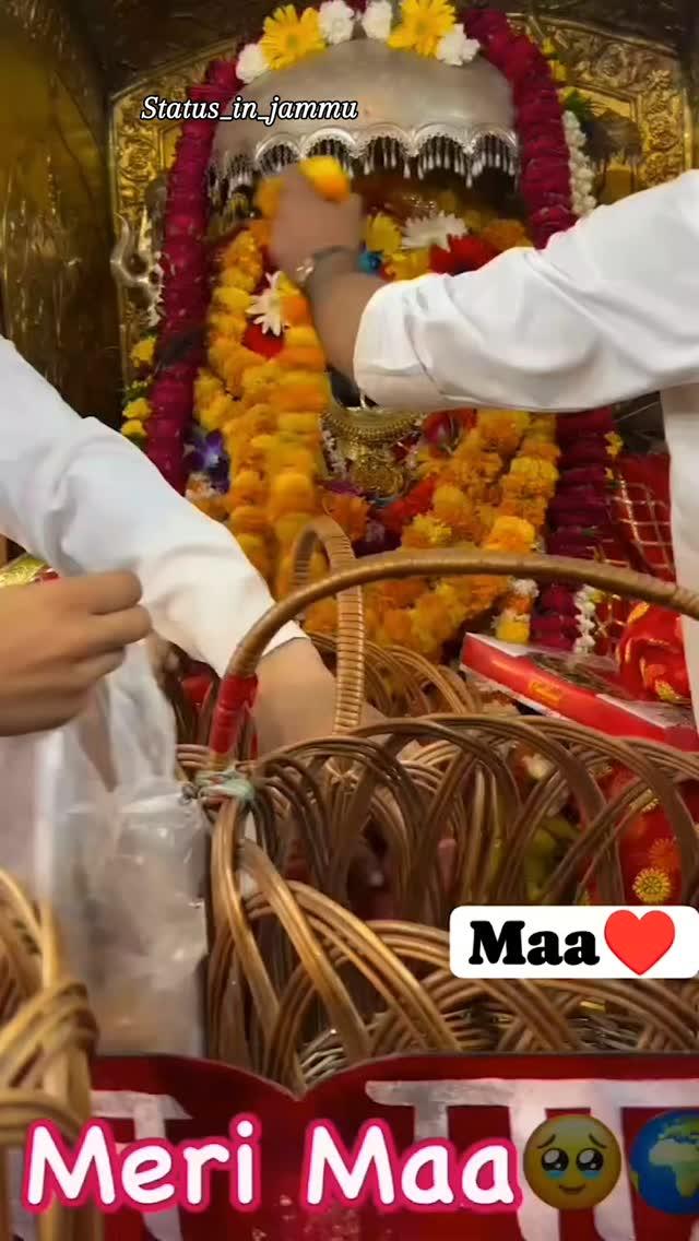 Jai maa bawa wali❣️