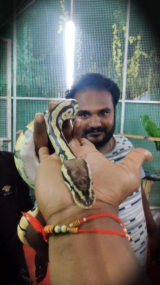 Dharmavaram zoo park lo