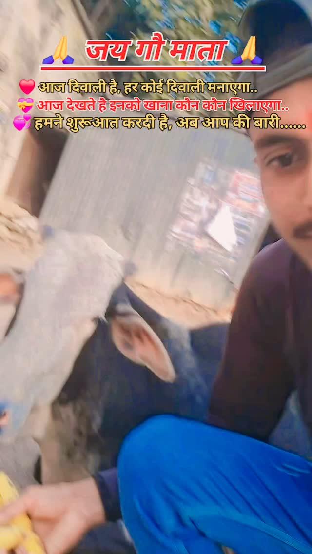 गौ सेवा, दतिया