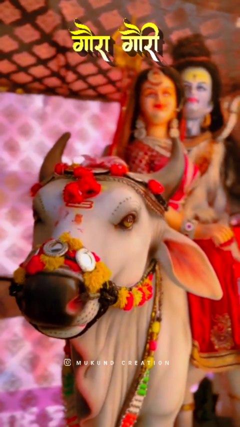 गौरा गौरी विवाह ✨👀🌺😇😍