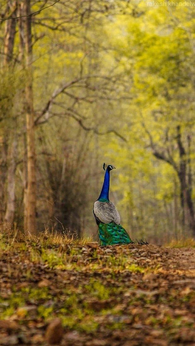 Gondia Documentry | अपना गोंदिया जिल्हा 💗

Creation smeet.official 
Follow gondia.official
Clips used saurabh.nation 123aniketagre arjunimor_ig mr.smeeet 
And other People who I don't know sorry if you have any problem or credit issue then contact me or ping me on smeet.official