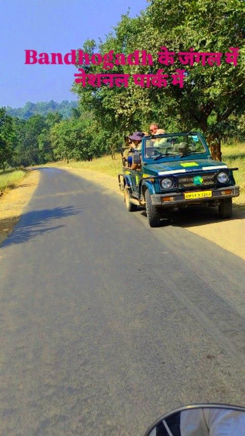 Bandhogadh ke jungal me
#instagram #viralvideo #reels Rai song 
#umaria national park 🏞️🏞️🏞️