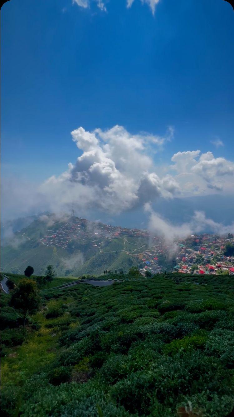 Kurseong ❤️🫶🏼
*
*
*
*
*