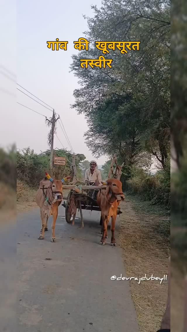 कौन कौन बैठा है
रायसेन के गांव की खूबसूरत तस्वीर