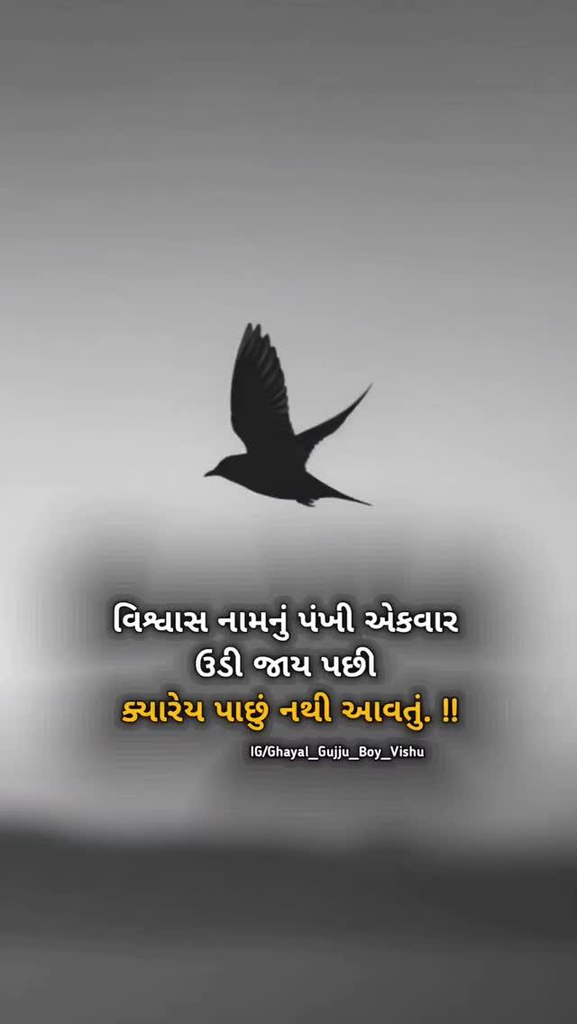 Follow More Post 🍁🥀


junagadh #rangilurajkot #ahmadabad #ahmadabad_instagram #surat #gujjujunagadhi #garvigujarat #lovediary #aashiq
#twolineshayari #shayar
#gujaratishayari #gujaratiquotes #gujaratisuvichar #gujaratistatus #trending #rajkot #motivation
#gujarat #suvichar #gujratishayri #reelsinstagram
#reels #explorepage #gujjujalso #gujjuquotes #gujju #ahmedabad #gujrati #gujjugram

અહીંયા મૂકવામાં આવતી દરેક પોસ્ટ કાલ્પનિક છે