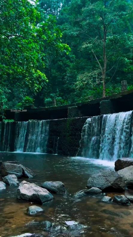 #tenkasi #tenkasi360 #achankovil #kumbaurutti_falls #panpoli #tirunelveli #tntourism #forest #wildlife #trending #travel #trendingreels #travelwithus #keralatourism #velavaatours 

VC:tenkasi.360