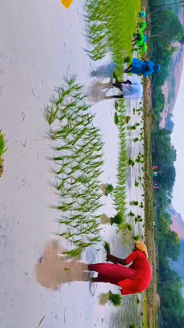 நம்ம ஊரு நார்த்தாமலை🌾⛈️🌈