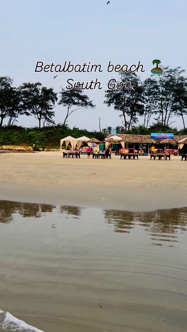 Discover the untouched beauty of Betalbatim Beach, where tranquility meets breathtaking sunsets
From golden sands to dolphin sightings, this hidden gem in South Goa is pure magic! ✨ Add this to your next Goa itinerary! 💙