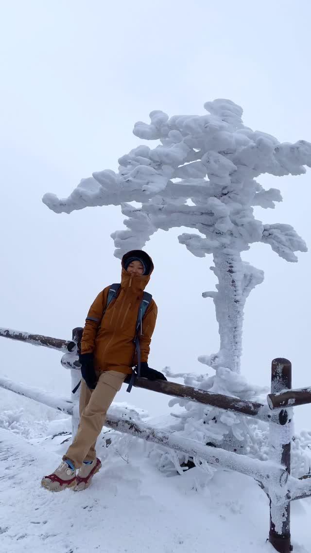 곤돌라 타고 가는 #설산
눈 오면 꼭 가야하는 덕유산!!
눈꽃터널을 볼 수 있다☃️☃️

너무 예뻐서 꼭 가보는걸 추천❄️
겨울에는 곤돌라 예약 해야 한다!!

곤돌라 타고 가도 아이젠은 필수!!!
위에는 바람도 많이 불어서 단단히 입어야 한다☃️