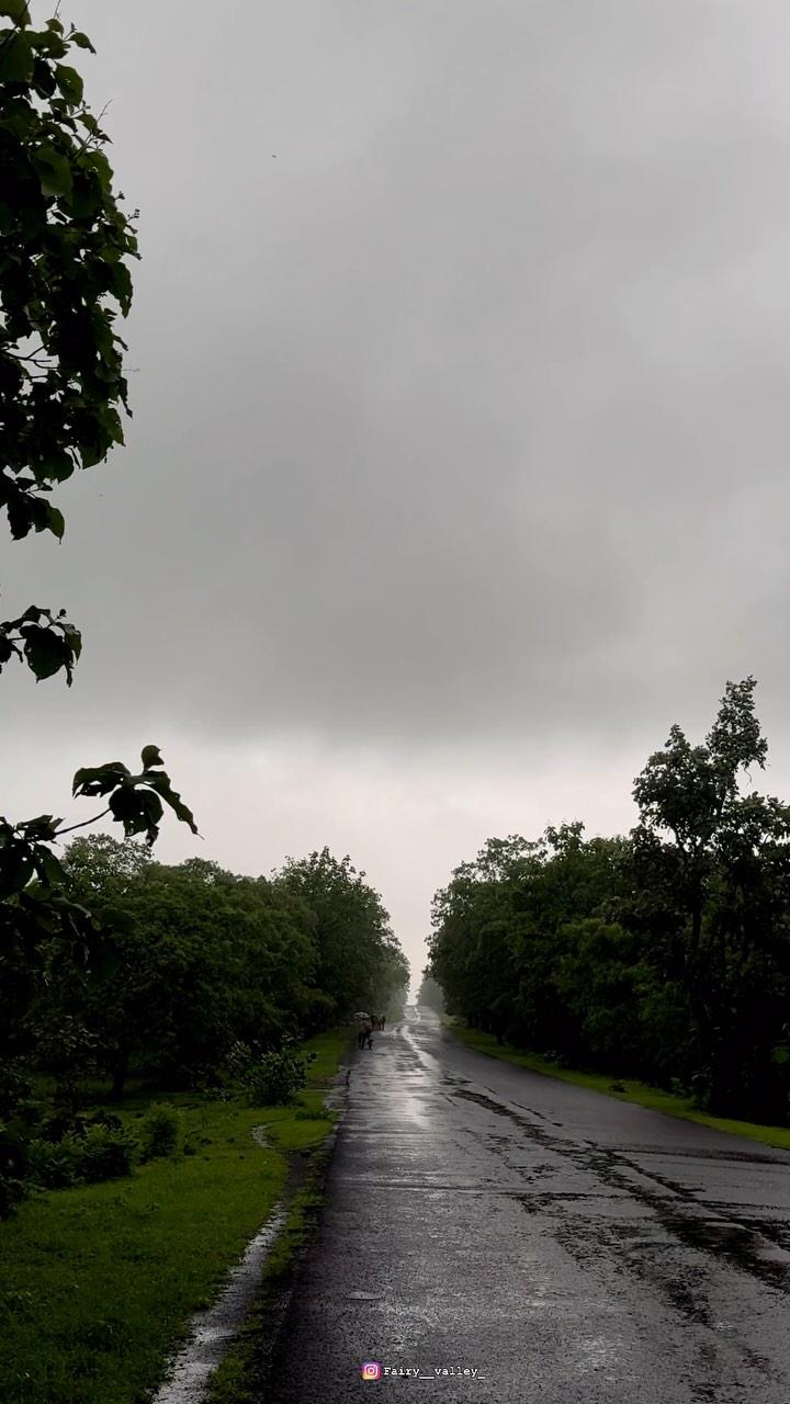 Monsoon 2024 🖤
I wish we could go back to the past 🙌

📍Raisen near Bhopal , MP