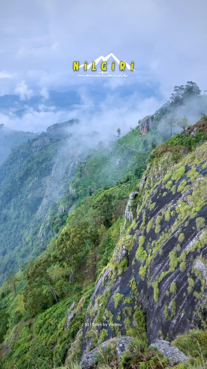 Nilgiri Mountains! ⛰️

nilgiris #nilgirihills #ooty #coonoor #trekking #travelphotography 

Nilgiri NilgiriHills Ooty Coonoor ]