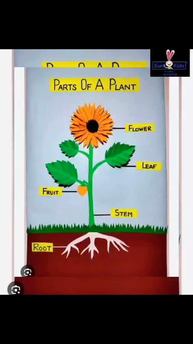 PLANT PARTS EXPLORATION! 🔍🌱

Our tiny tots are learning about the roots, stems, leaves, flowers, and fruits of a plant! 🌻🍃

Join us in this plant-tastic adventure! 🌿🌸

#PartsOfAPlant #PlantBiology #KidsEducation #ScienceLearning #EuroKidsBhadohi 🎉

#PlantScience
#BotanyForKids
#ScienceEducation
#KidsLearning
#Bhadohi
#Gyanpur
#bestschoolinbhadohi
#eurokidspreschool
#bhadohibestschool
#bhadohischool
#schoolinbhadohi
🔹 #EuroKids
🔹 #HeurekaCurriculum
🔹 #ThePreschoolExpert
🔹 #TheVisibleThinkingCurriculum
🔹 #RightStartFlyingStart
🔹 #HarvardProjectZero
🔹