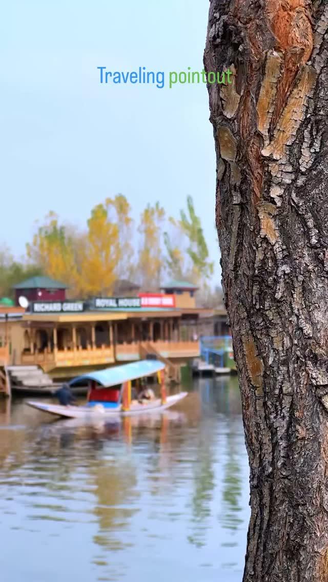 Dal lake srinagar