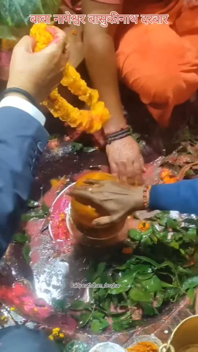 🌺🌿⚘️ बाबा बासुकीनाथ ज्योतिर्लिंग पूजन 🌿🌺⚘️