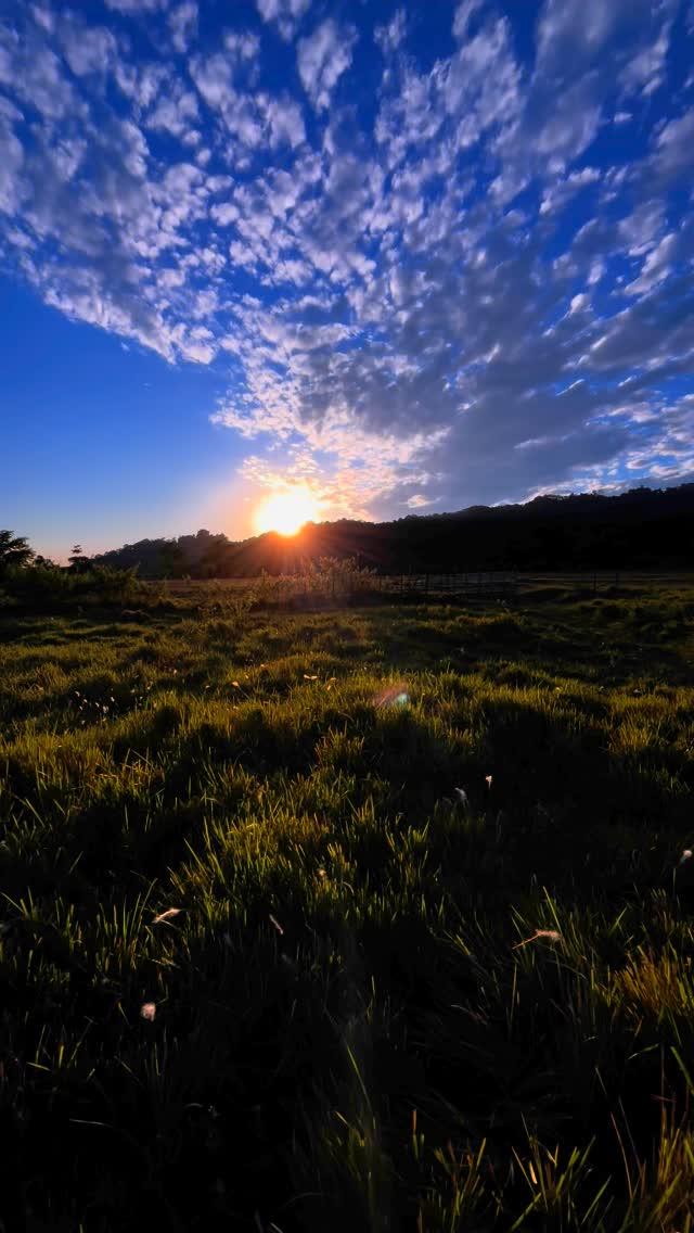 𝔹𝕖𝕒𝕦𝕥𝕪 𝕆𝕗 𝔻𝕙𝕖𝕞𝕒𝕛𝕚 ~ 🏞️🌸

কপিৰাইট আৰু ক্লাইম ⬇️

📝 এই ভিডিঅ'টো ইনষ্টাগ্ৰাম বা অন্য কোনো ডিজিটেল প্লেটফৰ্মত পুনৰ আপলোড নকৰিব কপিৰাইট যিকোনো সময়তে বাতিল হ'ব পাৰে। ধন্যবাদ 💖

⚠️ Copyright and Clim ⬇️

📝 Please do not re-upload this video to Instagram or any other digital platform Copyright may be revoked at any time
Thank you 💖

Cinematography 
🖥️ Cinematic VideoEditing 
📱 Short on iPhone & Digitak Mobile Gimbal 
💻 MacBook Air M1