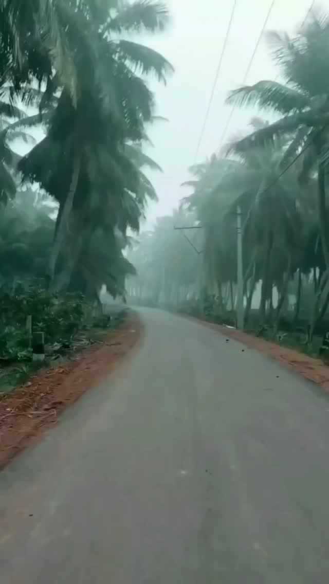 శుభోదయం అండి అందరికీ
Neelapalli to Patthigondhu Road
Near Yanam
Credits karun_clicks