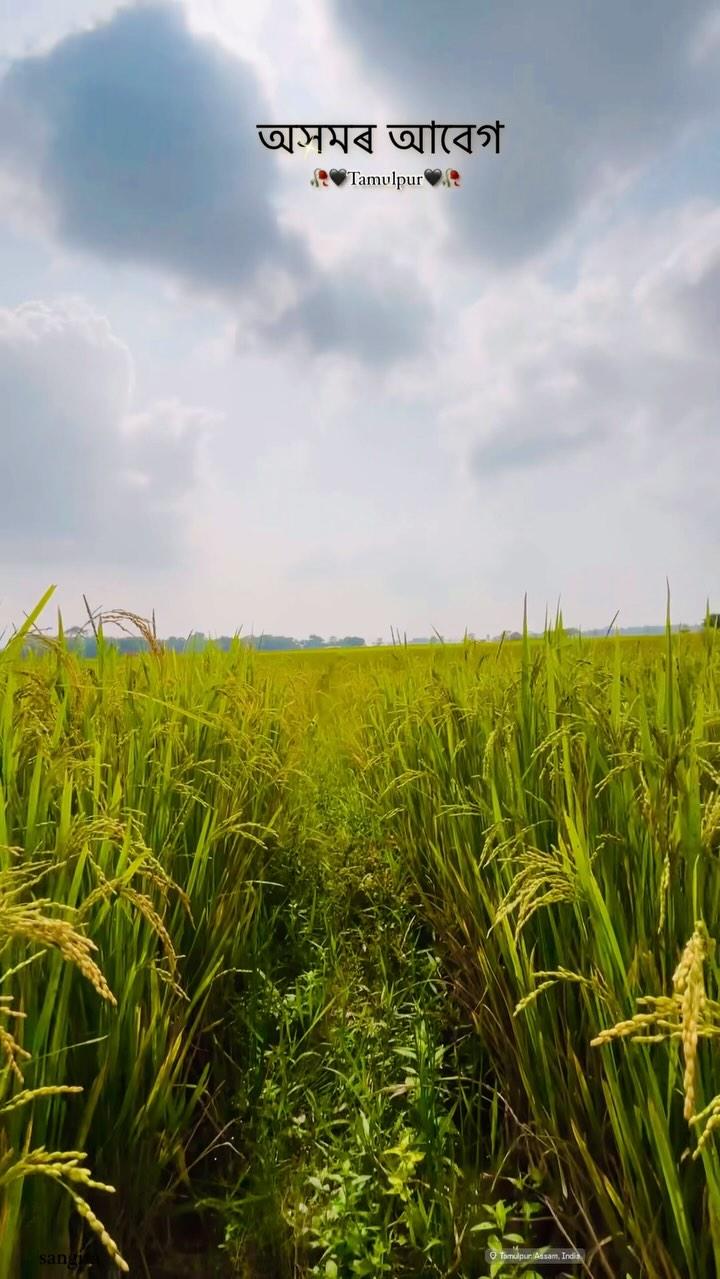 🥀🖤👀Tamulpur👀🖤🥀