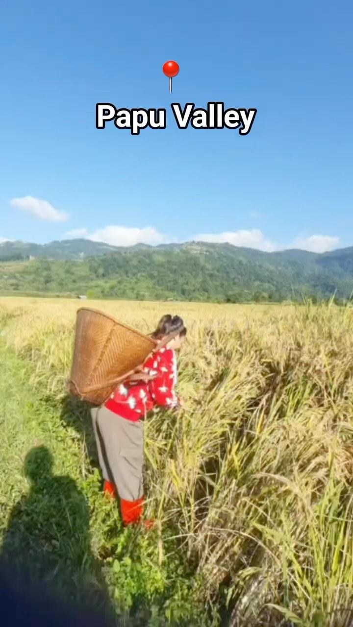 And The Harvest Festival Has Begun In The Valley 🌾✌️