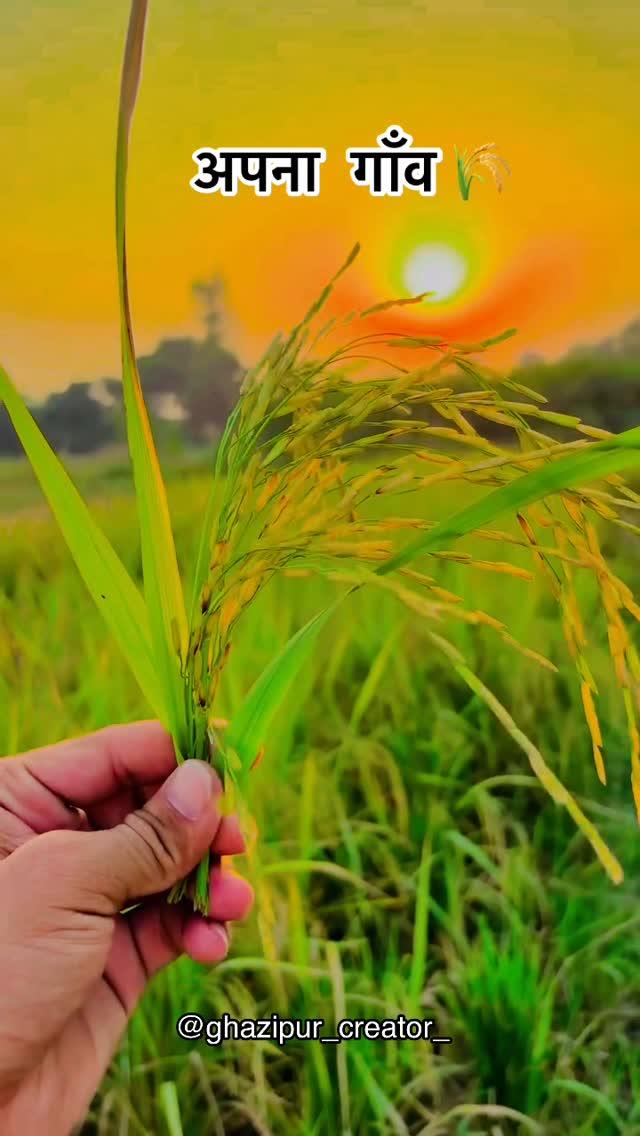 I ❤️Ghazipur 🙏🏻🇮🇳
:
Follow 👉ghazipur_creator_
————————————————
Use 👉#ghazipur_creator 
——————————————