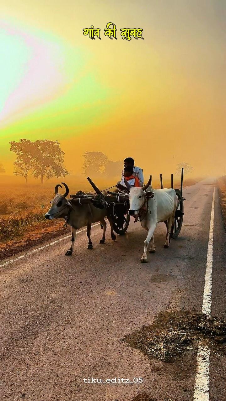 गाँव 🌿…