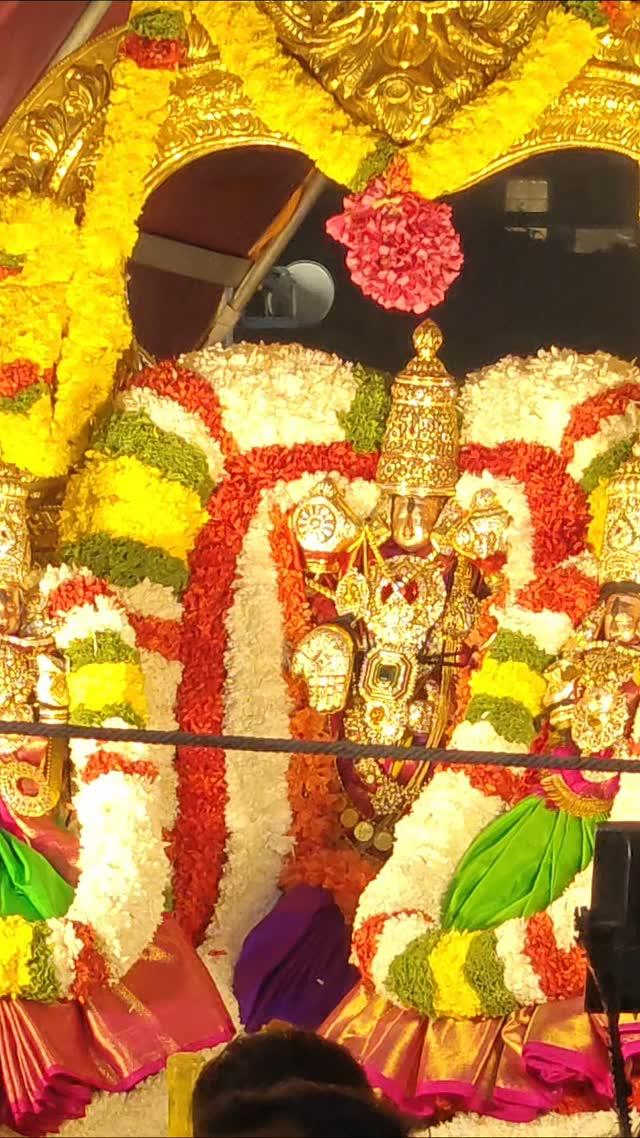 Tirumala:Ugra Srinivasamurthy swamy varu darsanam on occasion of Kaisika Dwadasi