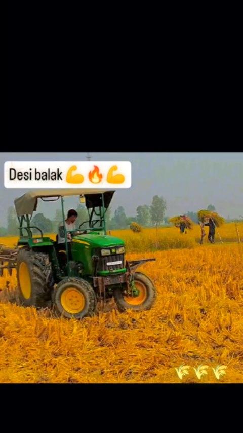 Deshi boy 😎🔥💯🌾🌾🌾
#farming #farmhouse #deshifood #desh #farm #village #deshi #combine #harvest #harvest #reelsvideo #studymotivation #stunt #stuntlife #tractors #tractores #john #johndeere #johndeere #gav #gaamaaale👑 #boy #haryanavi #ʜᴀʀʏᴀɴᴀ #punjab #raebareli #